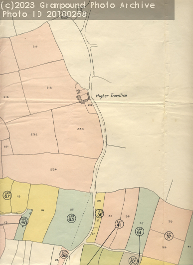 Picture of Property sale 1919 map - up Pepo Lane