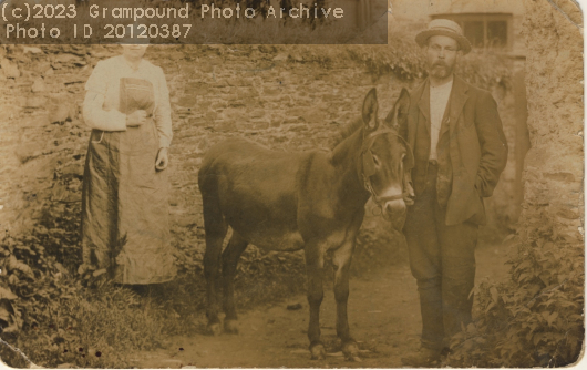 Picture of Grampound people with a donkey