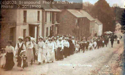 Picture of Women on a Temperance Day parade